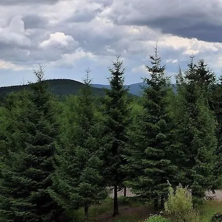 Aparthotel Oberhof Hotel Oberhof (Thuringia)