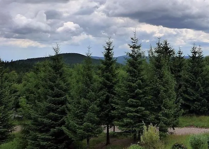 Aparthotel Oberhof Otel Oberhof (Thuringia)