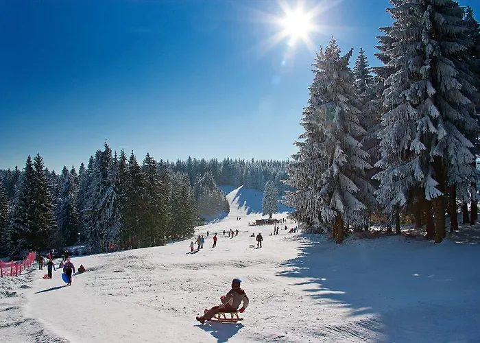 Aparthotel Oberhof Oberhof (Thuringia)