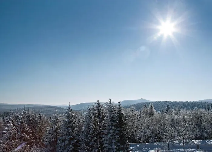 Aparthotel Oberhof Otel